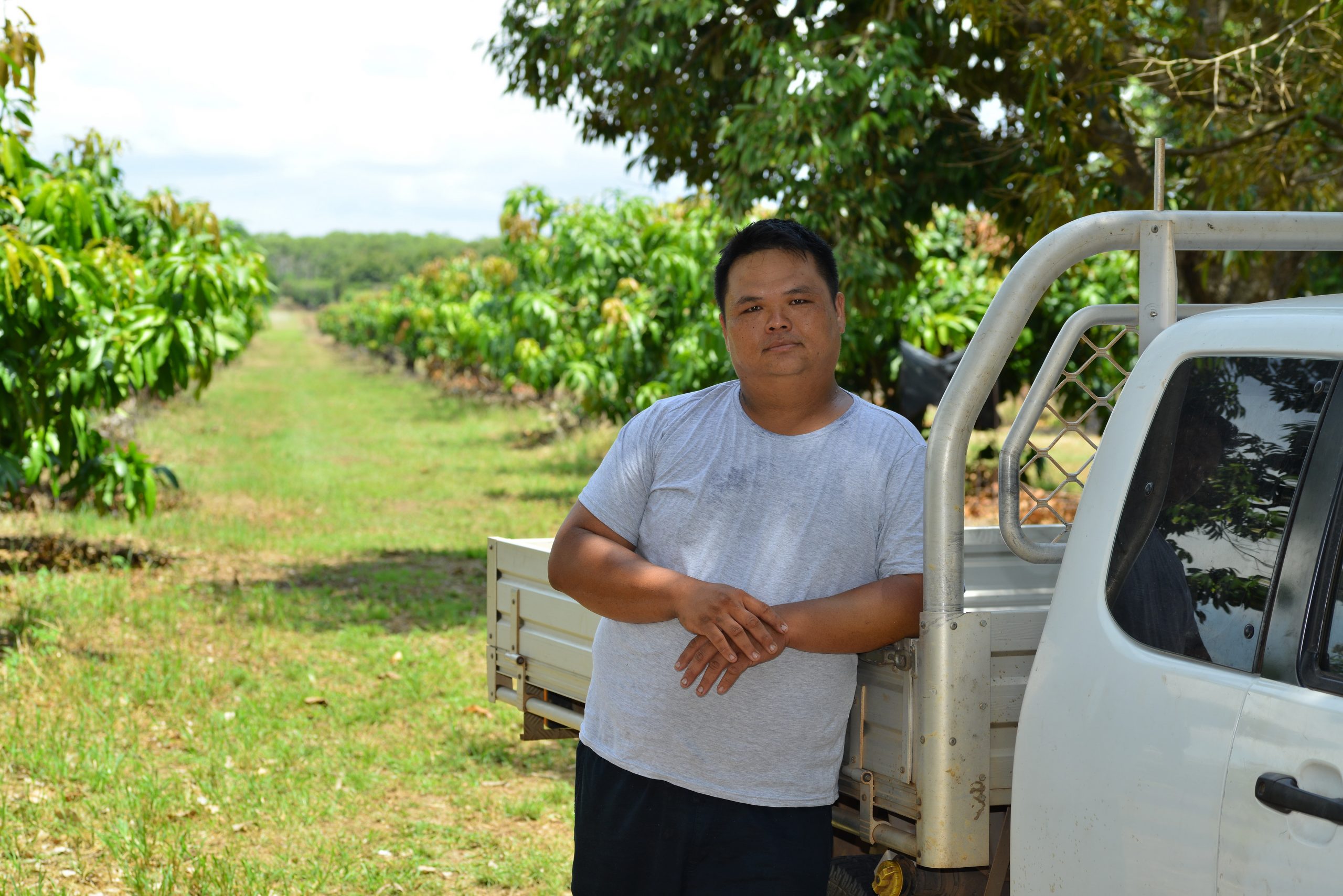 fruit picking in australia for malaysian