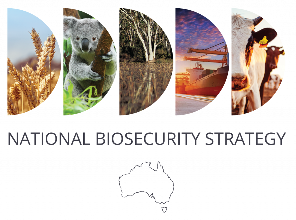 Have your say on the national biosecurity strategy