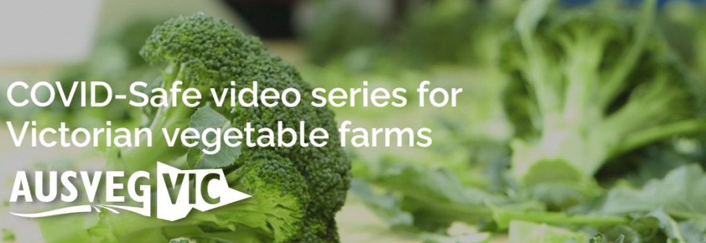 Translated COVID-Safe video series for Victorian farms