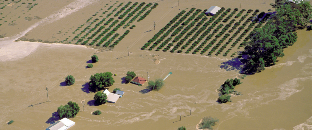 Floods and fresh produce food safety