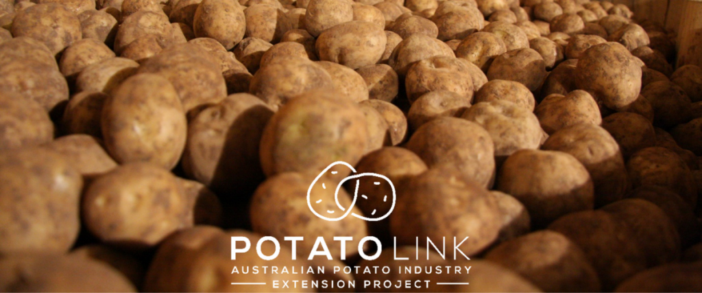 In-person potato event, Atherton