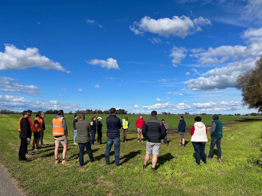 Soil moisture monitoring in veg crops discussed at Gippsland field day