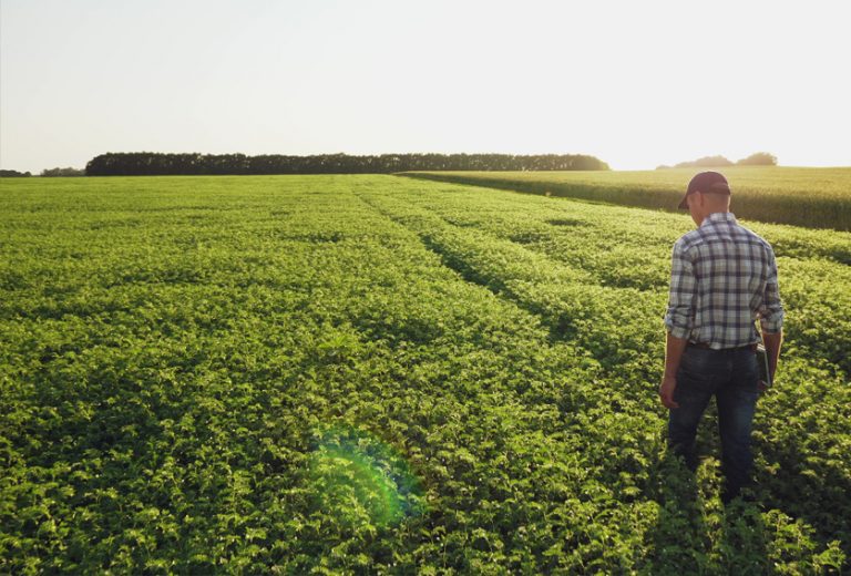 Corteva Agriscience™ Strengthens Support For The Australian Vegetable ...