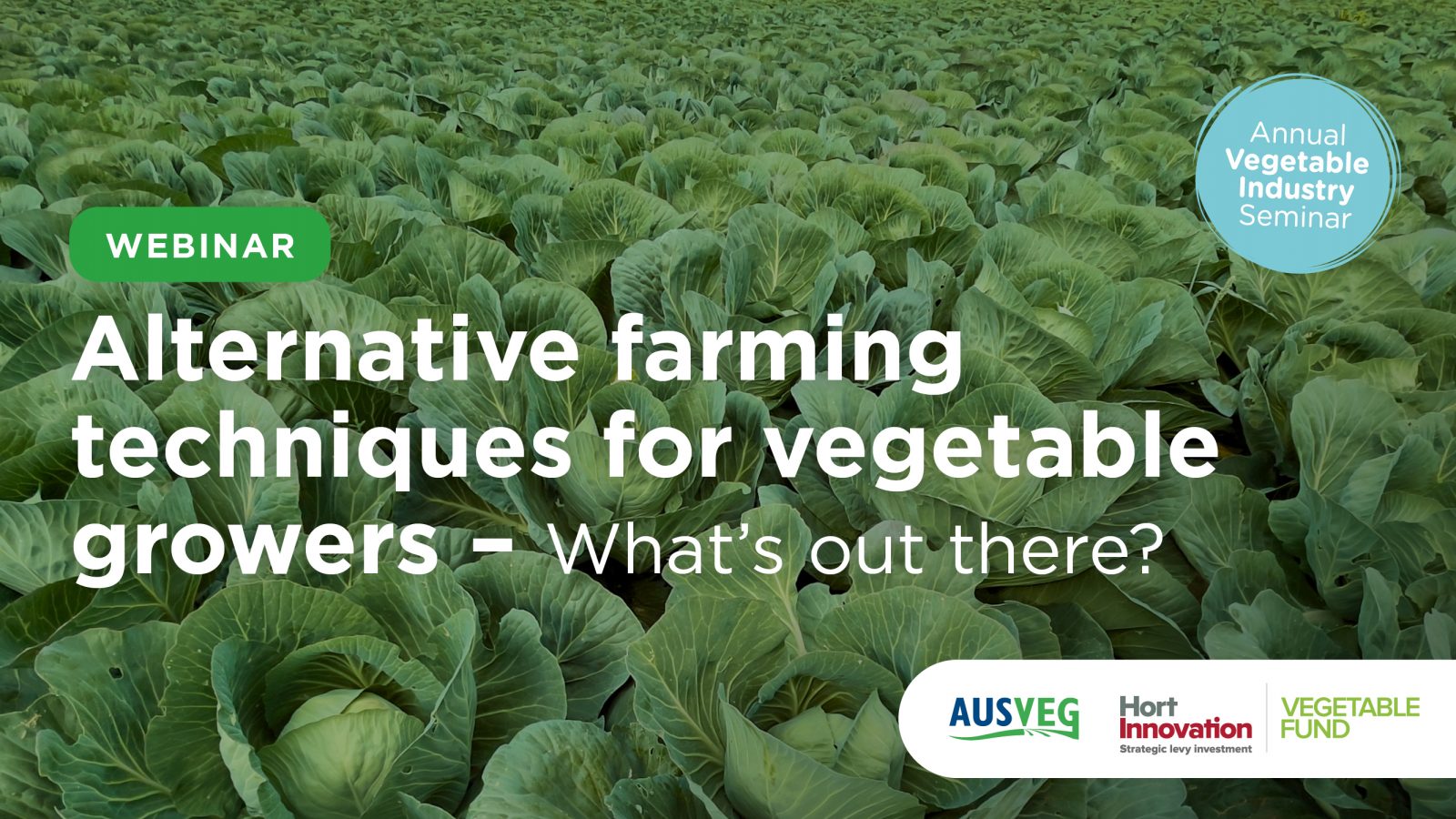 Webinar: Alternative farming techniques for vegetable growers – What’s ...