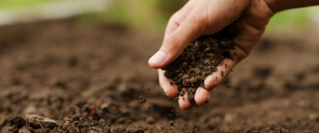 In-person event: Soil Wealth ICP-Soil Biology, Gingin, WA