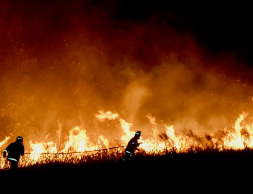 AUSVEG Advocacy: Bushfire Preparedness