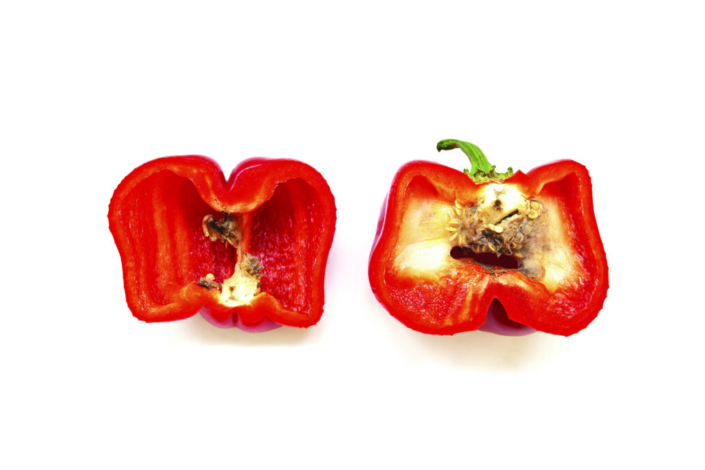 The hidden menace: tackling internal fruit rot in capsicum