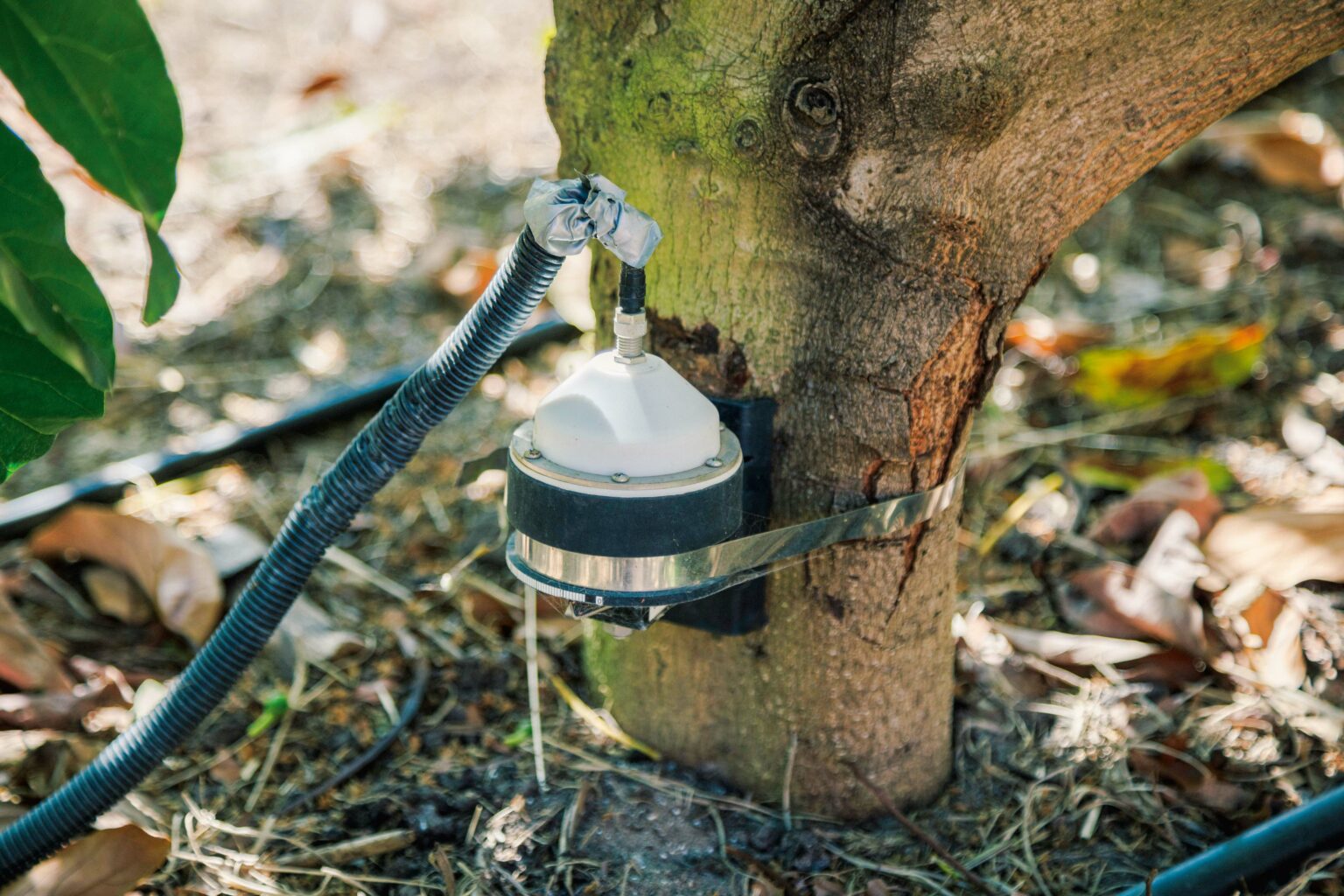 Smart Farm technology for better farming and ecosystems AUSVEG