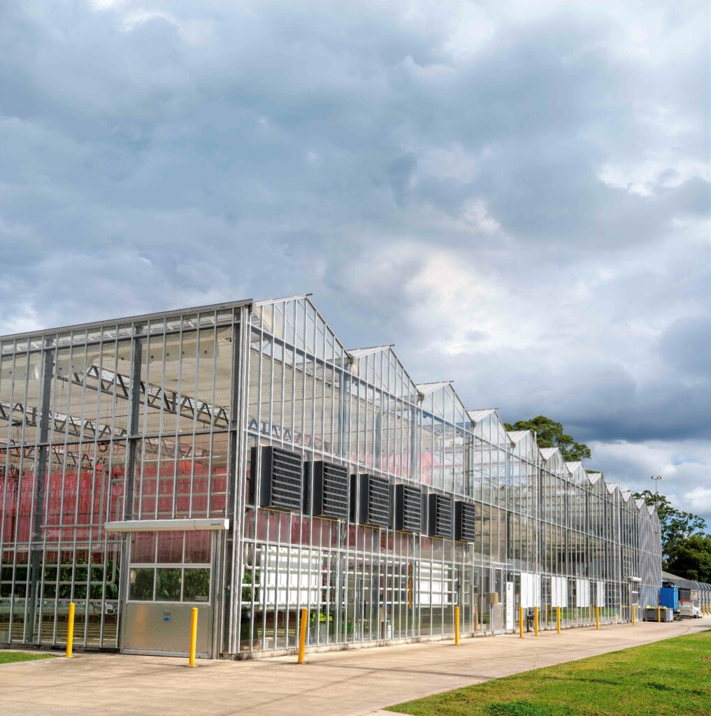 Technicolour glasshouse offers energy saving productivity potential 