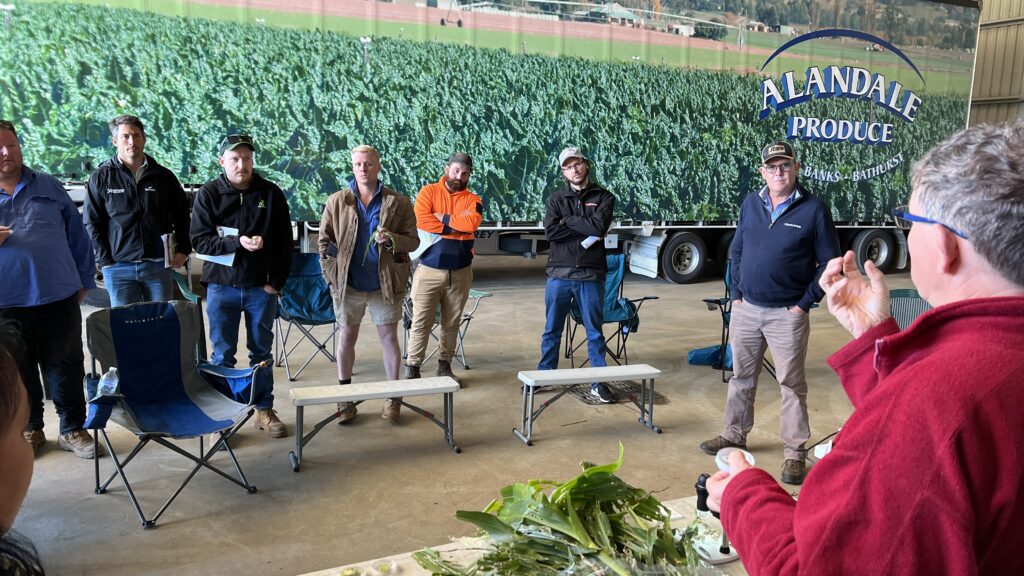 A local focus to build strategies for vegie growers to prepare and rebuild 