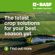 BASF Banner