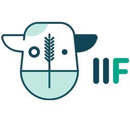 IIF